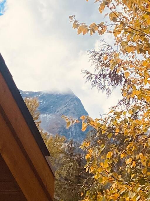 Ski-In Chalet: Private Hot Tub, Bonus Bunk House فيرني المظهر الخارجي الصورة