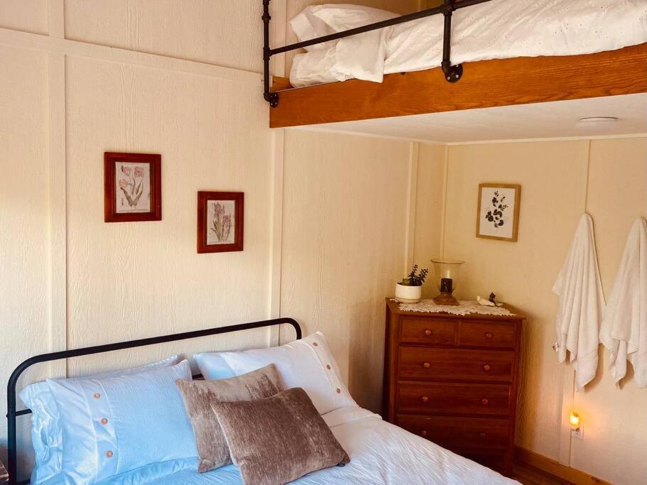 Ski-In Chalet: Private Hot Tub, Bonus Bunk House فيرني المظهر الخارجي الصورة