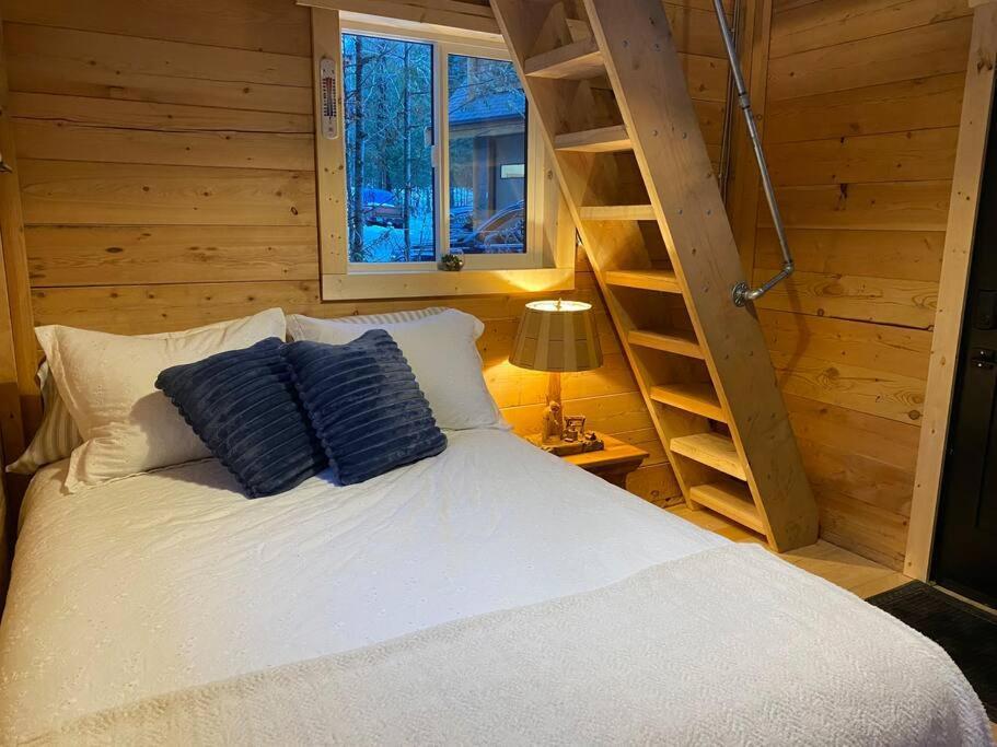 Ski-In Chalet: Private Hot Tub, Bonus Bunk House فيرني المظهر الخارجي الصورة